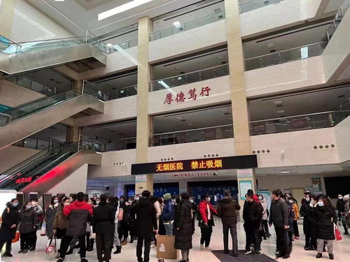 最美 冰墩墩 風(fēng)雪凌晨逆行l(wèi)西青醫(yī)院集結(jié)100名醫(yī)護(hù)支援大篩工作